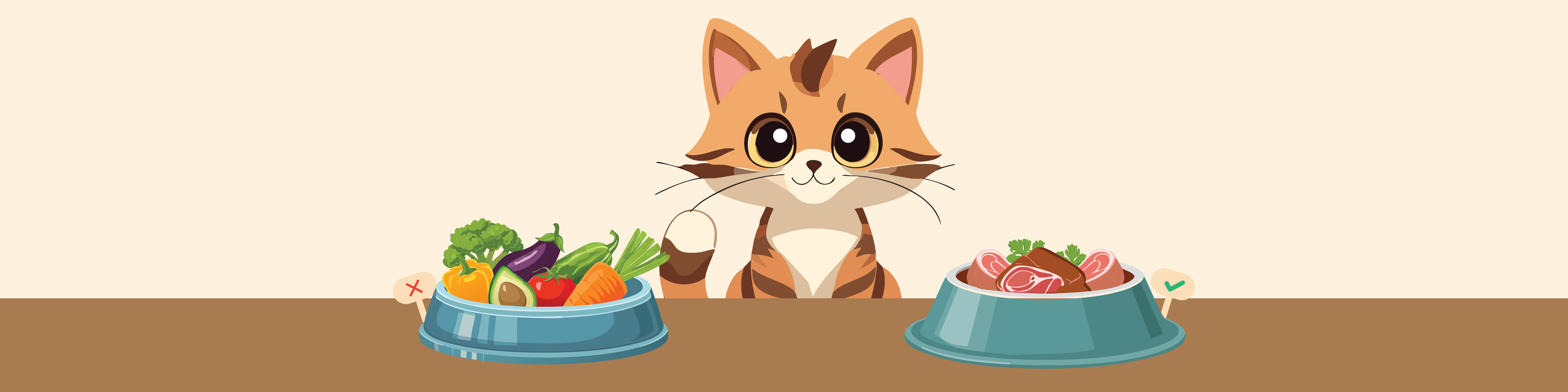 Voeding voor Katten